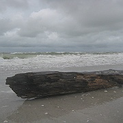 Picture 074